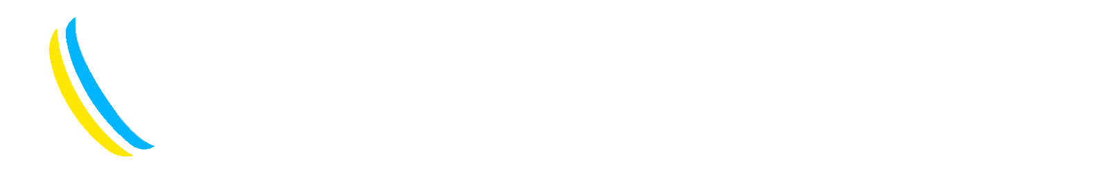 logo-overseer